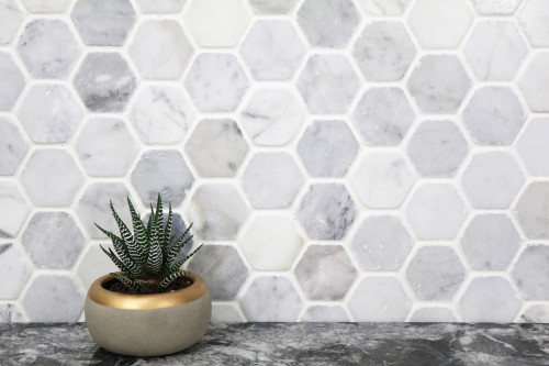 Antique Carrara hexagon tile mosaic backsplash dark counter with plant