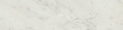 Classic 2.0 Bianco Carrara 3x12 BN Honed ECWCL2295042